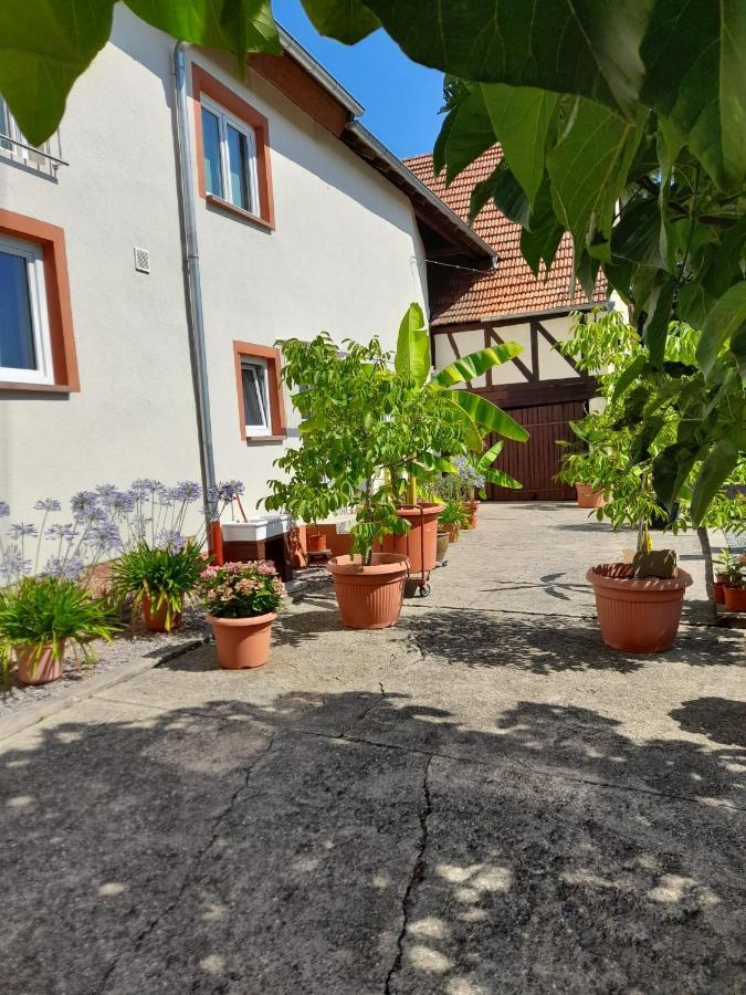 Ferienwohnung "Zum Alten Kuhstall" Oberhausen  Eksteriør bilde