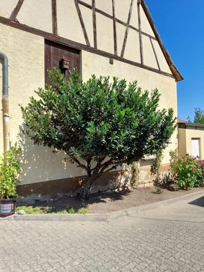 Ferienwohnung "Zum Alten Kuhstall" Oberhausen  Eksteriør bilde