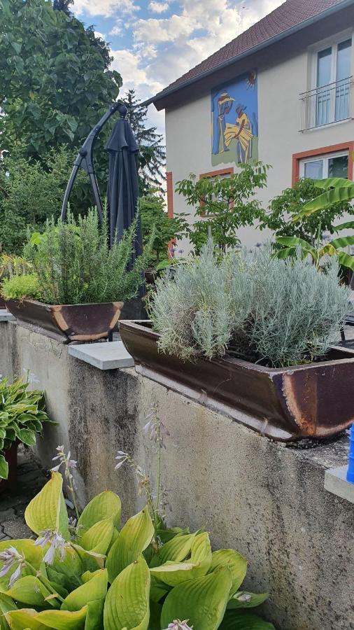 Ferienwohnung "Zum Alten Kuhstall" Oberhausen  Eksteriør bilde